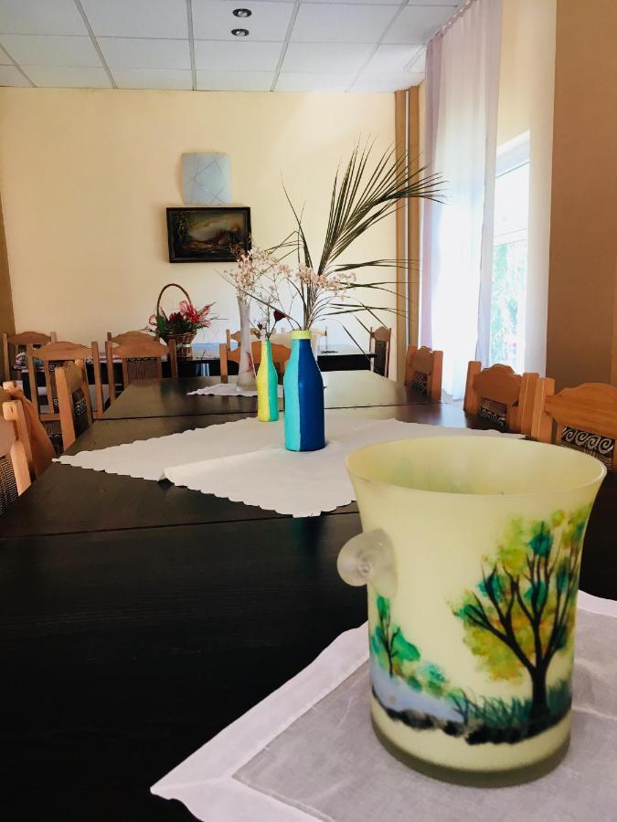 Pensiunea Elena Совежа Экстерьер фото
